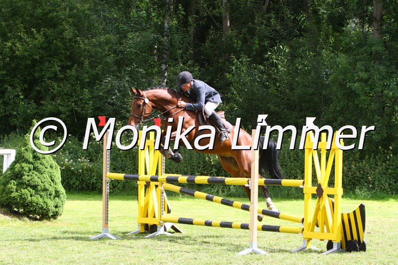 007M0072_Lilly Marleen_Spring_L.JPG